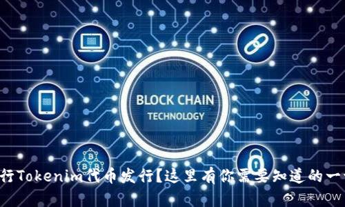 如何顺利进行Tokenim代币发行?这里有你需要知道的一切对话指南!