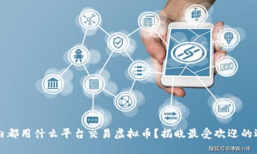 国内都用什么平台交易虚拟币?揭晓最受欢迎的选择