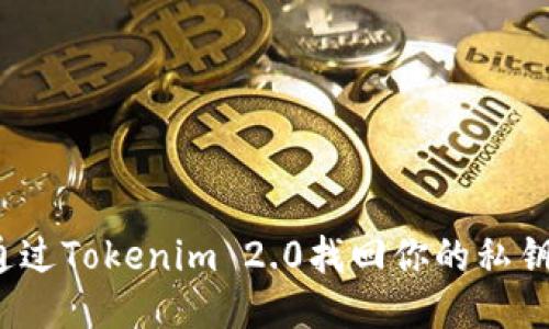 如何通过Tokenim 2.0找回你的私钥钱包?