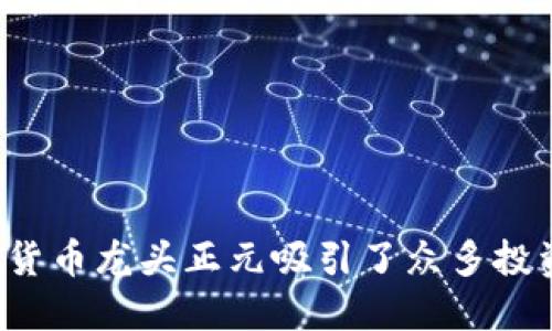 为什么数字货币龙头正元吸引了众多投资者的目光?