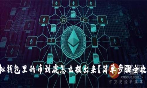 虚拟钱包里的币到底怎么提出来？简单步骤全攻略！