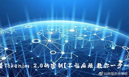 如何查看Tokenim 2.0的密钥？不怕麻烦，教你一步一步搞定！