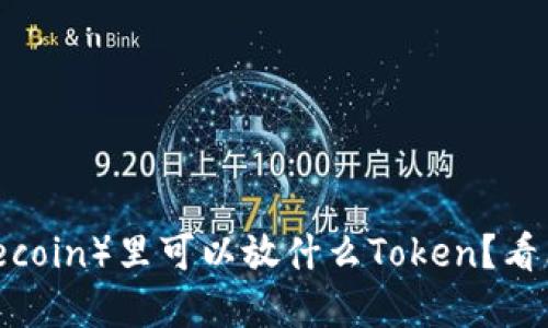 莱特币(Litecoin)里可以放什么Token?看看你的选择!