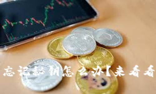 TokenIM 2.0 忘记秘钥怎么办?来看看这些解决方案!