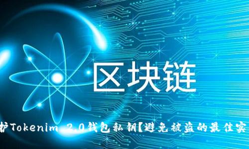 如何有效保护Tokenim 2.0钱包私钥?避免被盗的最佳实践你知道吗?