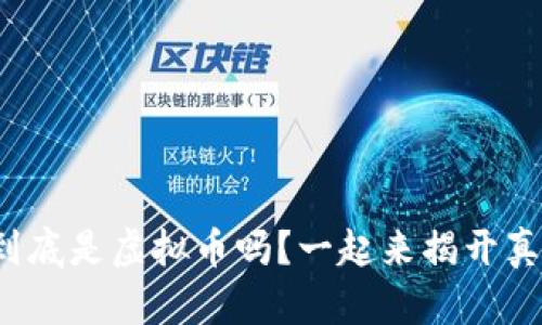 抖币到底是虚拟币吗？一起来揭开真相吧！