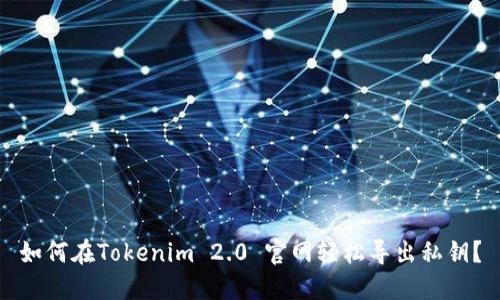 如何在Tokenim 2.0 官网轻松导出私钥?