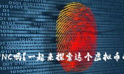你了解LUNC吗?一起来探索这个虚拟币的世界吧!