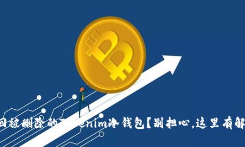 如何找回被删除的Tokenim冷钱包?别担心,这里有解决方案!