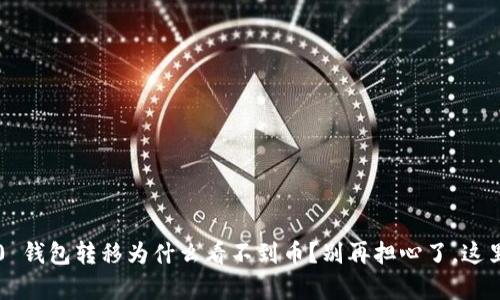 “TokenIM 2.0 钱包转移为什么看不到币?别再担心了,这里有解决办法!”