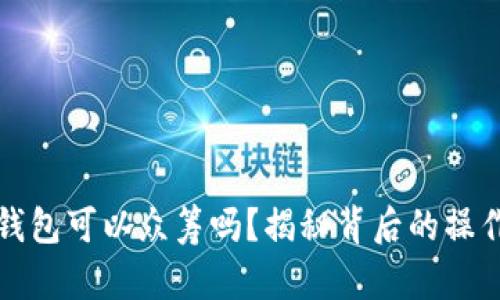 以太坊钱包可以众筹吗？揭秘背后的操作和风险