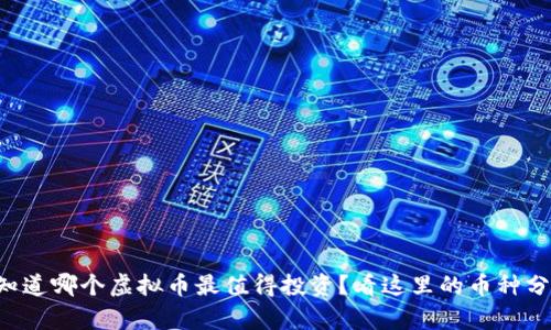 想知道哪个虚拟币最值得投资?看这里的币种分析!
