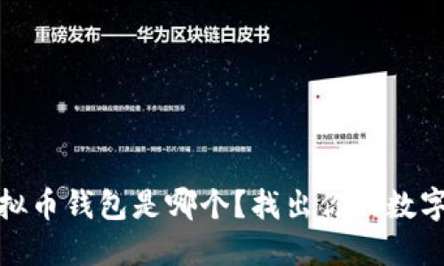 最安全的虚拟币钱包是哪个?找出你的数字资产护航者
