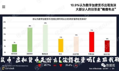 “老鼠币”虚拟货币是什么?值得投资吗?来跟我聊聊!
