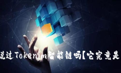 你听说过Tokenim智能链吗?它究竟是什么?
