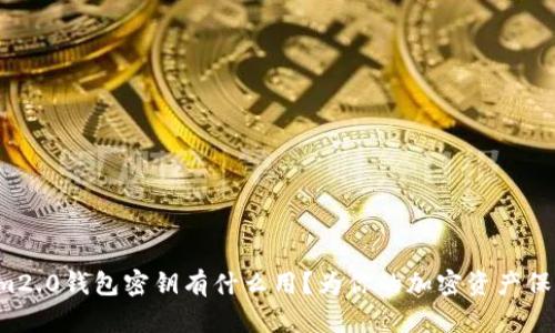 Tokenim2.0钱包密钥有什么用?为你的加密资产保驾护航!