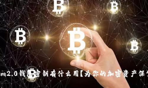 Tokenim2.0钱包密钥有什么用?为你的加密资产保驾护航!