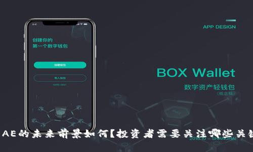 虚拟币AE的未来前景如何?投资者需要关注哪些关键因素?