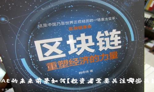 虚拟币AE的未来前景如何?投资者需要关注哪些关键因素?