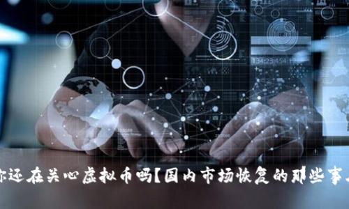 你还在关心虚拟币吗?国内市场恢复的那些事儿