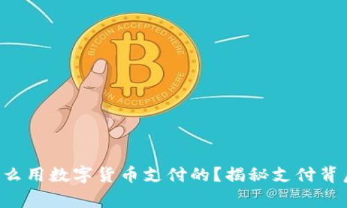 老外是怎么用数字货币支付的?揭秘支付背后的故事!