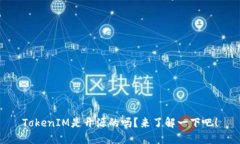 TokenIM是开源的吗？来了解一下吧！