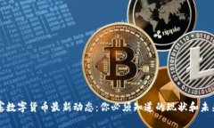 柬埔寨数字货币最新动态：你必须知道的现状和