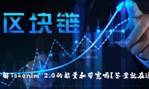 你了解Tokenim 2.0的能量和带宽吗?答案就在这里!