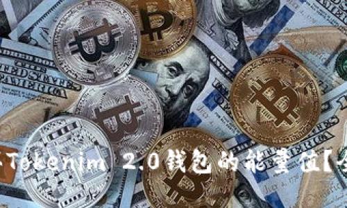 如何购买Tokenim 2.0钱包的能量值？全面指南！