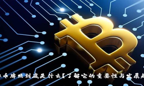虚拟币牌照到底是什么?了解它的重要性与发展趋势!