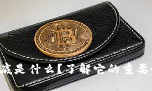 虚拟币牌照到底是什么?了解它的重要性与发展趋势!