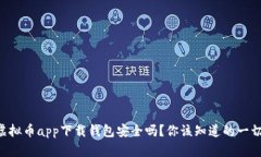 虚拟币app下载钱包安全吗？你该知道的一切！