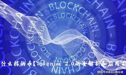 是什么样的币?Tokenim 2.0的全解析和应用前景