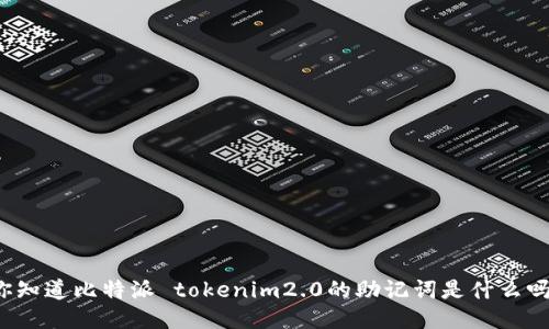 你知道比特派 tokenim2.0的助记词是什么吗？