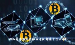 你知道中国的虚拟币老板都在干什么吗？
