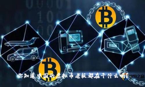 你知道中国的虚拟币老板都在干什么吗?