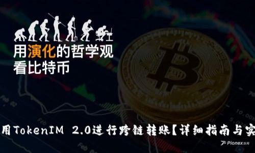 如何使用TokenIM 2.0进行跨链转账?详细指南与实用技巧
