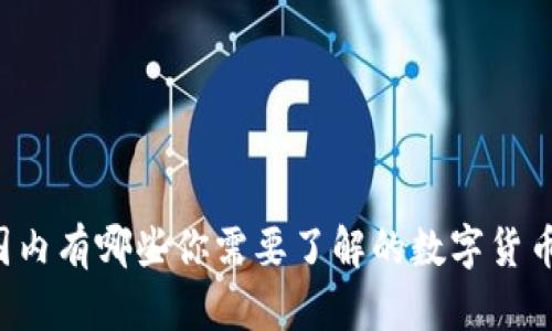 国内有哪些你需要了解的数字货币？