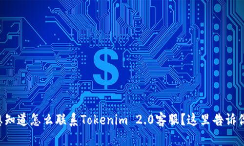 想知道怎么联系Tokenim 2.0客服?这里告诉你!