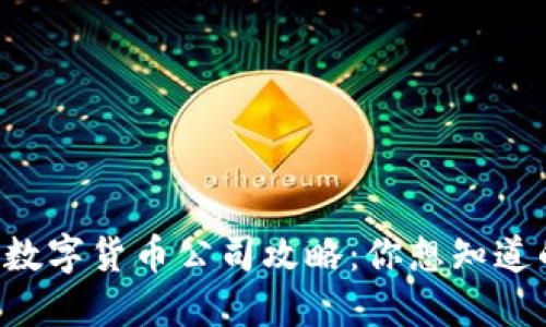 中国网络数字货币公司攻略：你想知道的都在这！