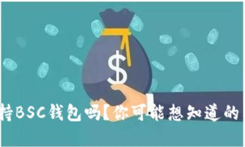 TokenIM支持BSC钱包吗？你可能想知道的答案在这里！