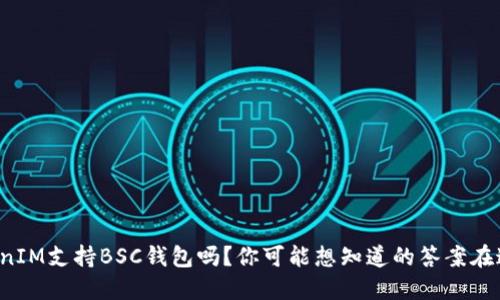 TokenIM支持BSC钱包吗？你可能想知道的答案在这里！