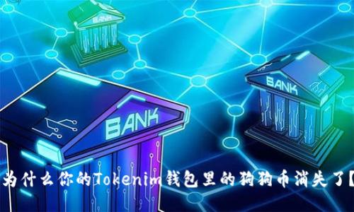 为什么你的Tokenim钱包里的狗狗币消失了？