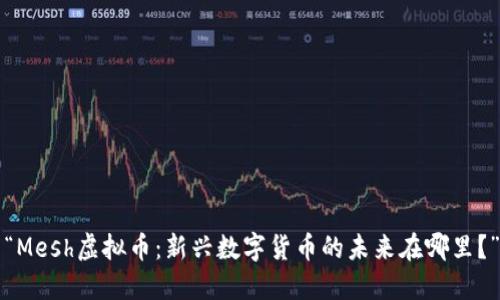 “Mesh虚拟币:新兴数字货币的未来在哪里?”