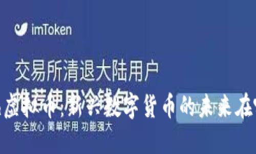 “Mesh虚拟币:新兴数字货币的未来在哪里?”