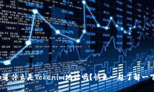 你知道什么是Tokenim地址吗？快来一起了解一下吧！