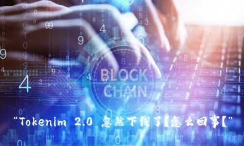 “Tokenim 2.0 忽然下线了?怎么回事?”