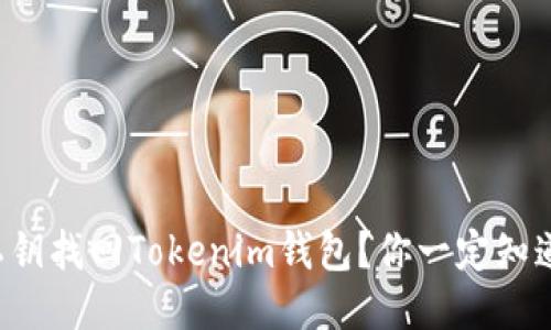 如何通过私钥找回Tokenim钱包？你一定知道这个方法！