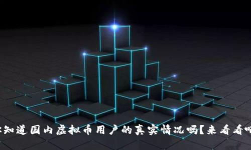 你知道国内虚拟币用户的真实情况吗?来看看吧!