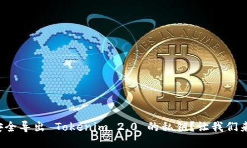 如何安全导出 Tokenim 2.0 的私钥？让我们来聊聊！